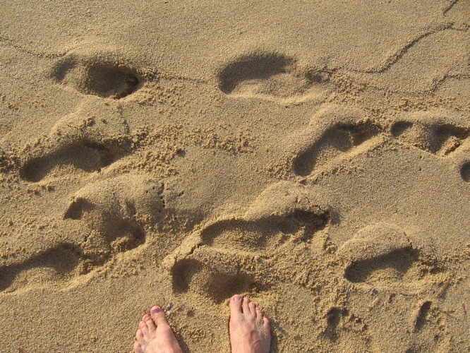 Spuren am Sandstrand