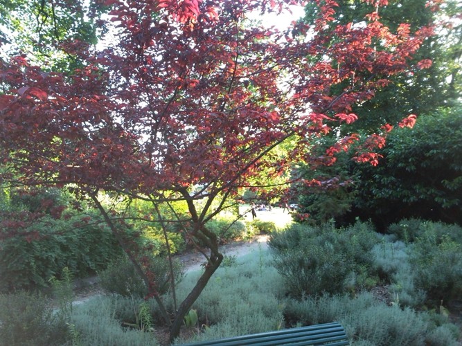 parc montsouris 3